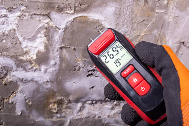 Best Certified Mold Removal  in Vine Grove, KY