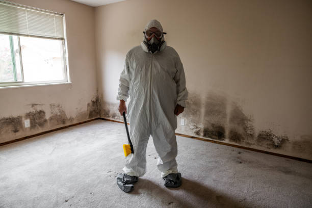Best Commercial Mold Removal  in Vine Grove, KY